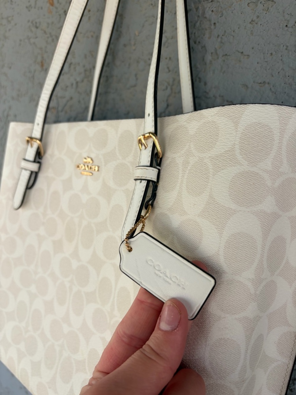 Coach Chalk Signature Canvas Tote with Gold Hardware - Picture 5 of 8